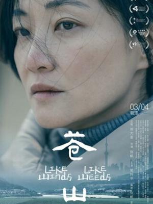 网红大赛精英对决